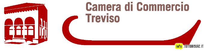 Camera commercio Treviso