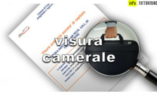 Visura camerale, ecco come si legge