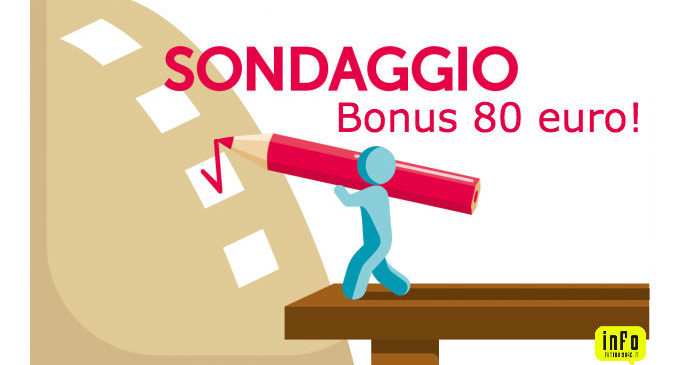 Sondaggio Bonus 80 euro. Come li hai spesi?