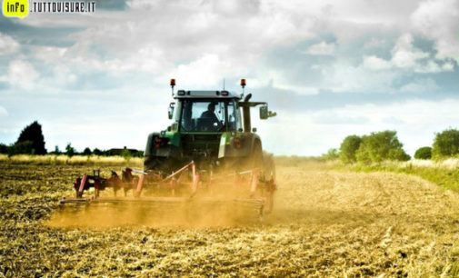 Imu, si rischia di pagare anche sui terreni agricoli