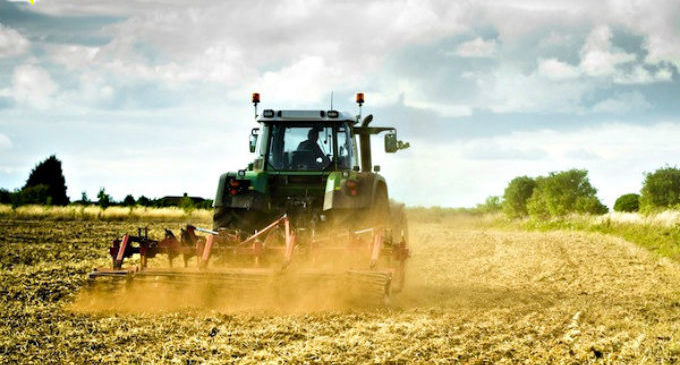 Imu, si rischia di pagare anche sui terreni agricoli